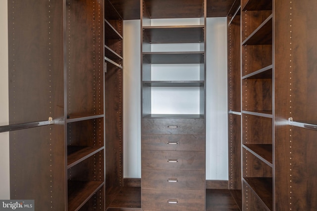 view of walk in closet