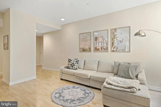 living room with light wood-type flooring