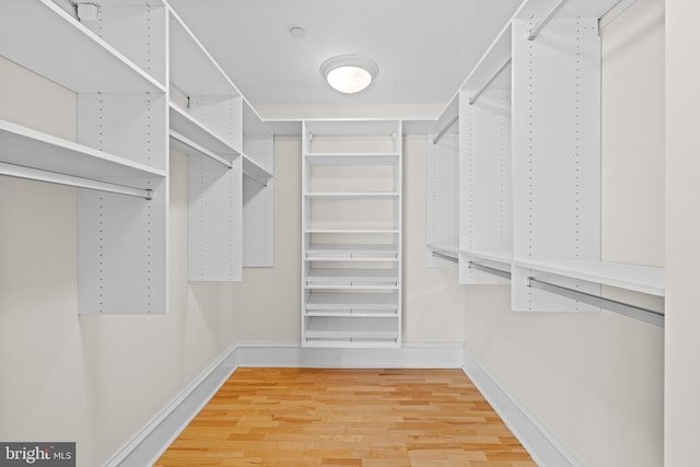 walk in closet featuring wood-type flooring