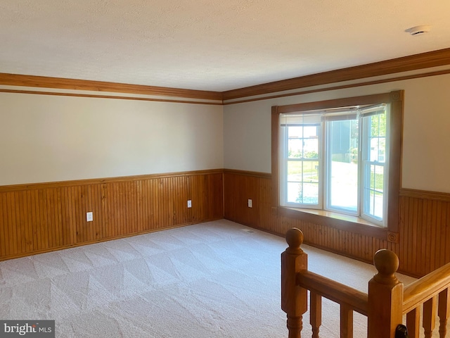 unfurnished room with ornamental molding, light colored carpet, and a textured ceiling