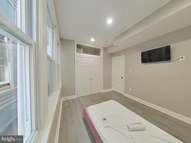 interior space featuring a healthy amount of sunlight and wood-type flooring