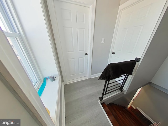 interior space featuring hardwood / wood-style flooring