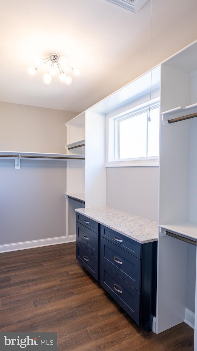 walk in closet featuring dark wood-style flooring