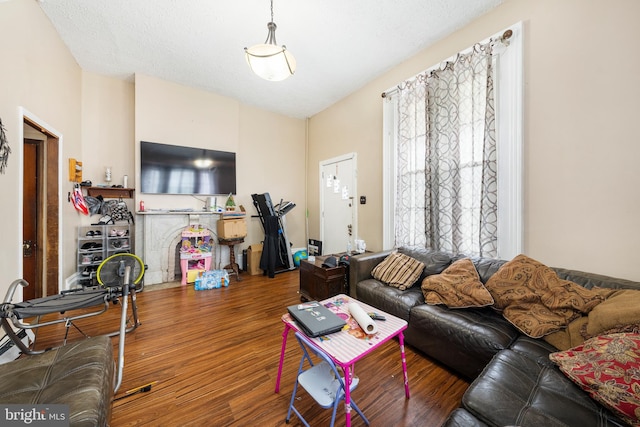 living room featuring wood-type flooring