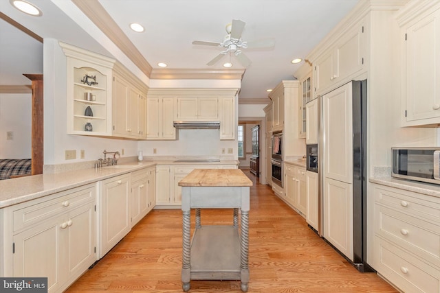 kitchen featuring wood counters, stainless steel appliances, light hardwood / wood-style floors, and sink