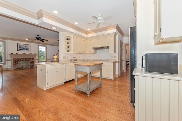 kitchen with a wealth of natural light, a fireplace, light hardwood / wood-style floors, and kitchen peninsula