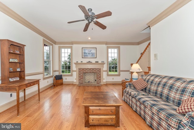 living room featuring ornamental molding, ceiling fan, a fireplace, and light wood-type flooring