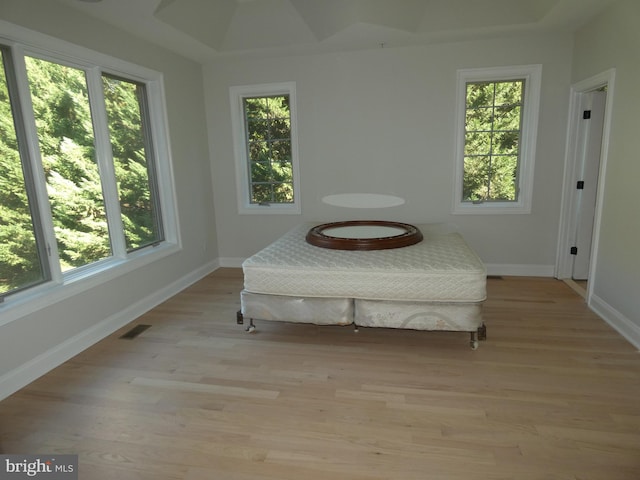 living area featuring light hardwood / wood-style floors