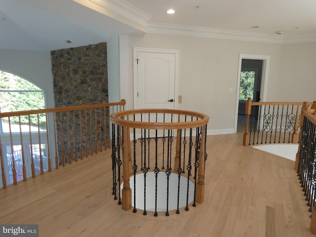 hall featuring crown molding and light hardwood / wood-style flooring