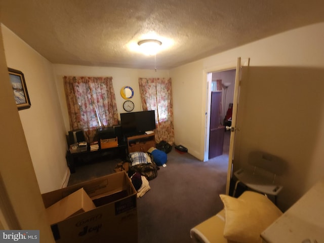 carpeted living room with a textured ceiling