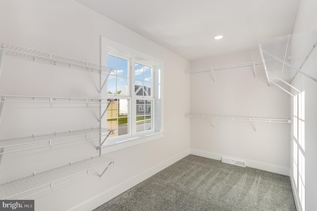 walk in closet with carpet floors