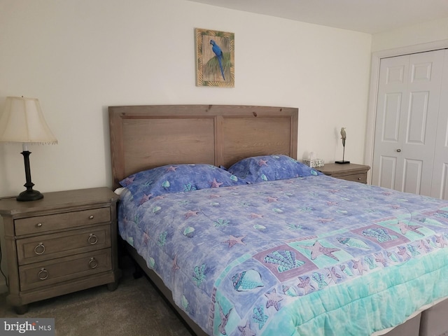 bedroom featuring dark colored carpet and a closet