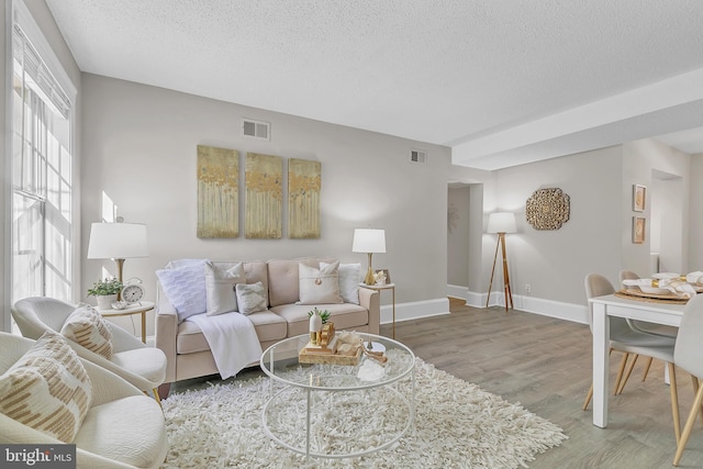 living room featuring hardwood / wood-style flooring and a textured ceiling