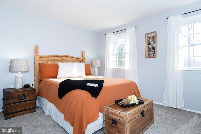 bedroom with carpet flooring