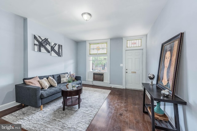 living room featuring dark wood-type flooring