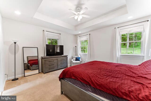 bedroom featuring light colored carpet, multiple windows, and a raised ceiling