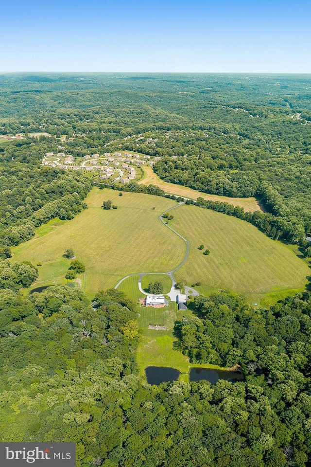 bird's eye view