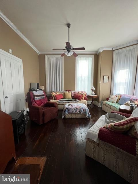 living room featuring ceiling fan, dark hardwood / wood-style floors, and crown molding