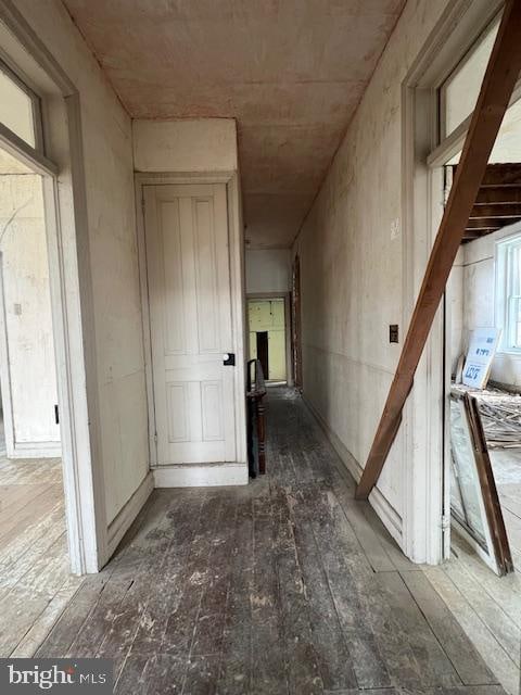 corridor with dark wood-type flooring