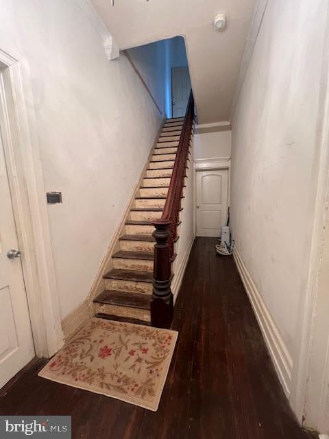 staircase featuring ornamental molding and wood-type flooring