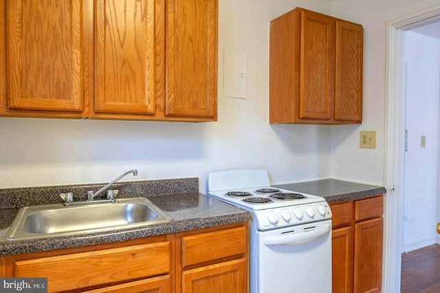 kitchen with hardwood / wood-style floors, sink, and electric range