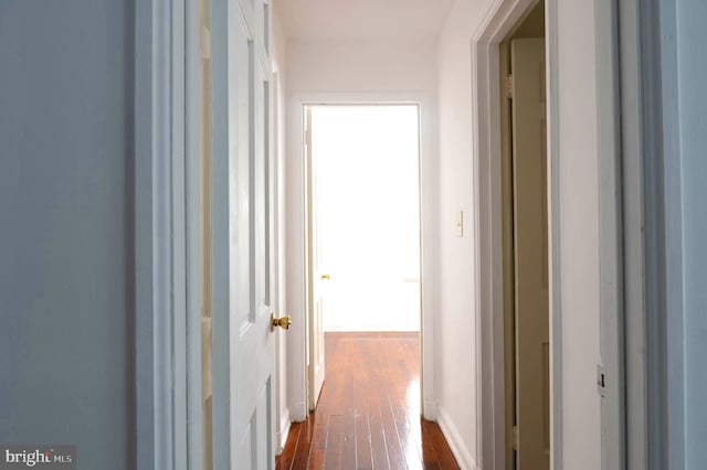 corridor with dark hardwood / wood-style floors