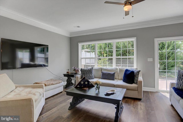 living room with a healthy amount of sunlight, ornamental molding, ceiling fan, and hardwood / wood-style floors