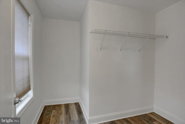 spacious closet featuring hardwood / wood-style floors