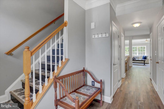 stairway featuring hardwood / wood-style flooring and ornamental molding