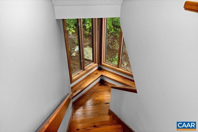 staircase with hardwood / wood-style floors