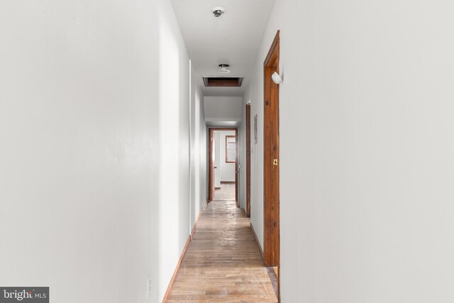 spare room with light hardwood / wood-style flooring and radiator