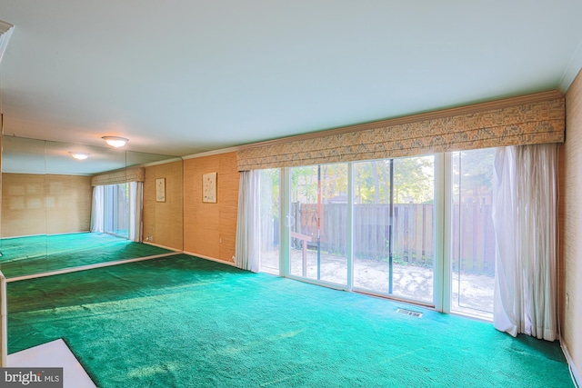 carpeted spare room featuring visible vents