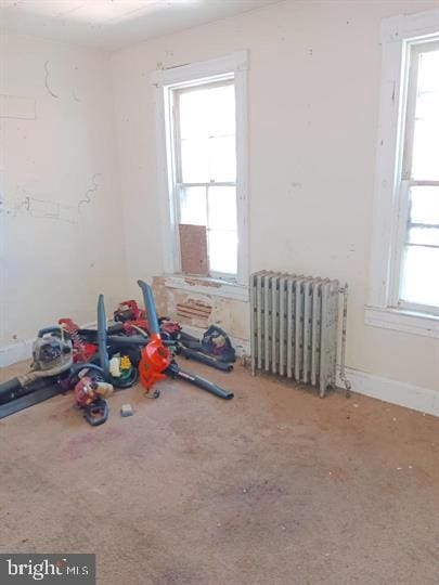 interior space with radiator and a wealth of natural light