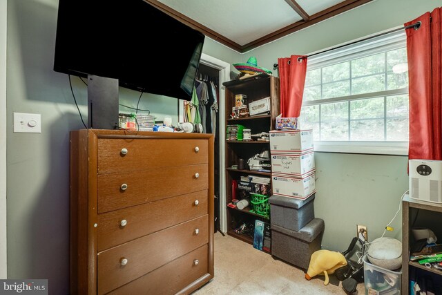 interior space featuring light colored carpet