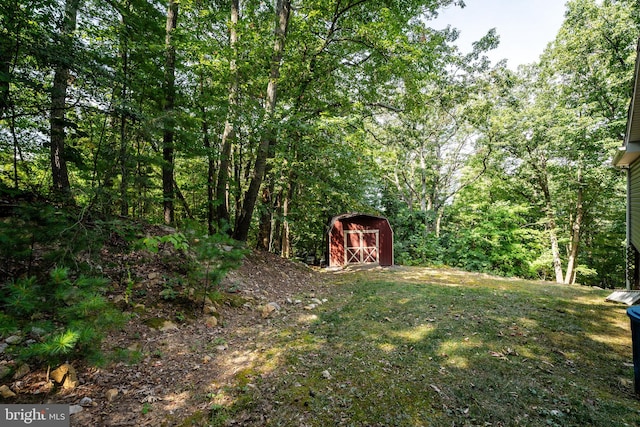 view of yard with a shed