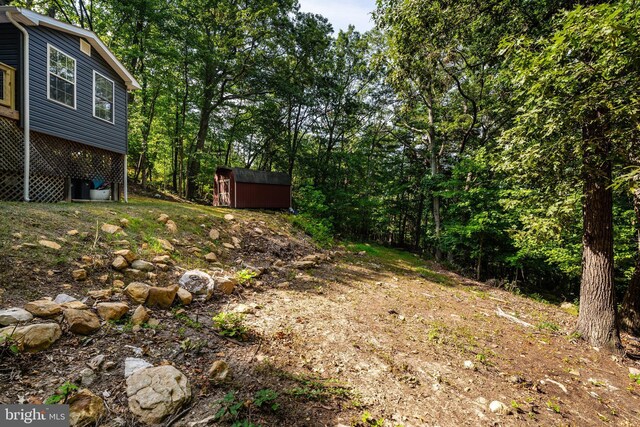 view of yard with a storage shed