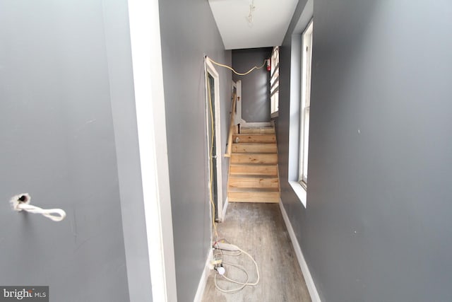 corridor with wood-type flooring