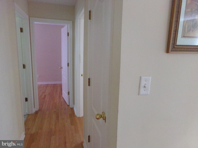 hallway with wood-type flooring