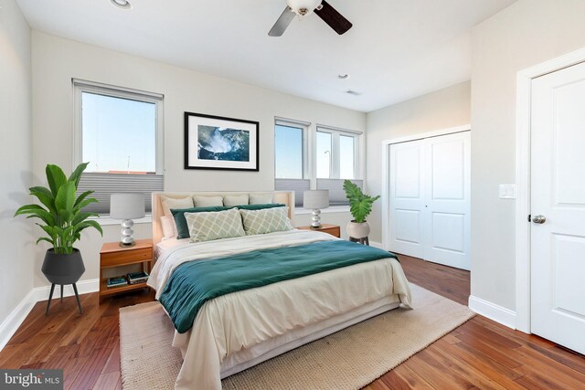 bedroom with ceiling fan, dark hardwood / wood-style flooring, and a closet