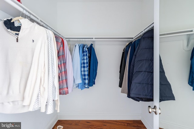 walk in closet featuring wood-type flooring