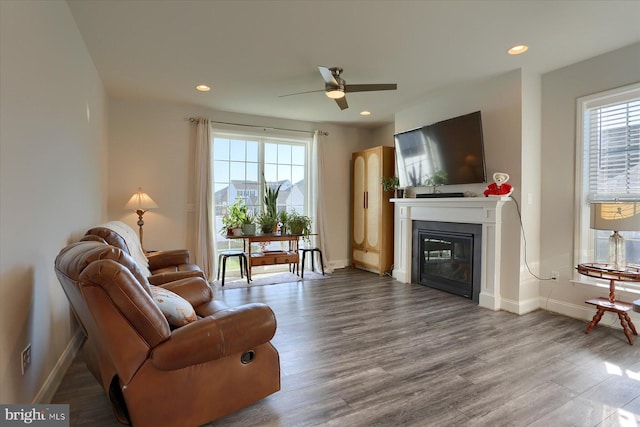 living room featuring hardwood / wood-style flooring and ceiling fan