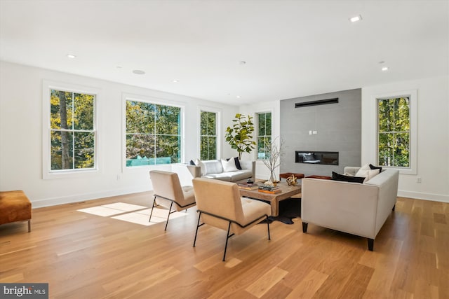 living room featuring a fireplace and light hardwood / wood-style floors