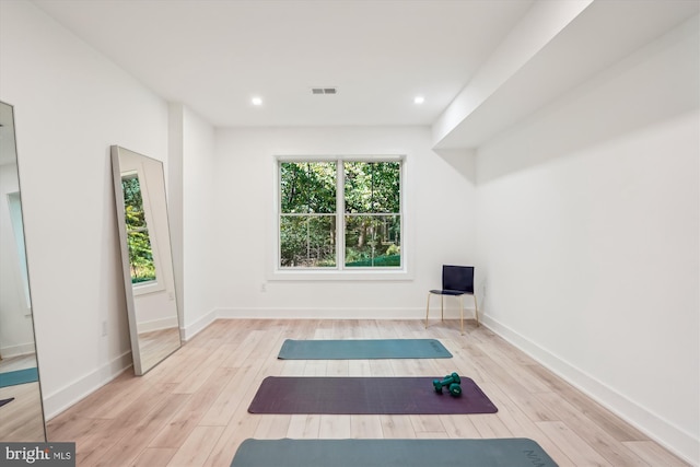 workout area featuring light hardwood / wood-style floors