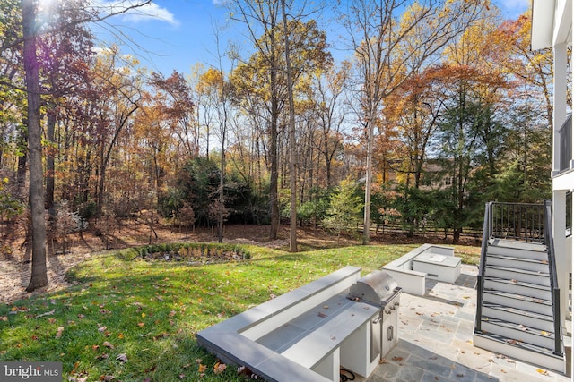 view of yard featuring a patio and exterior kitchen