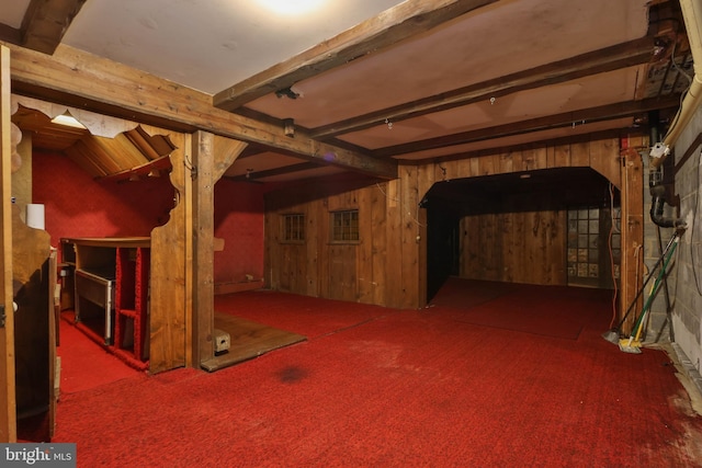 basement featuring carpet floors and wood walls