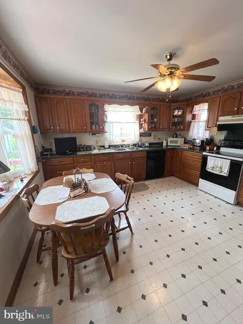 kitchen with plenty of natural light, black dishwasher, ceiling fan, and electric stove