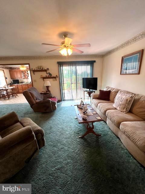 living room with ceiling fan and carpet flooring