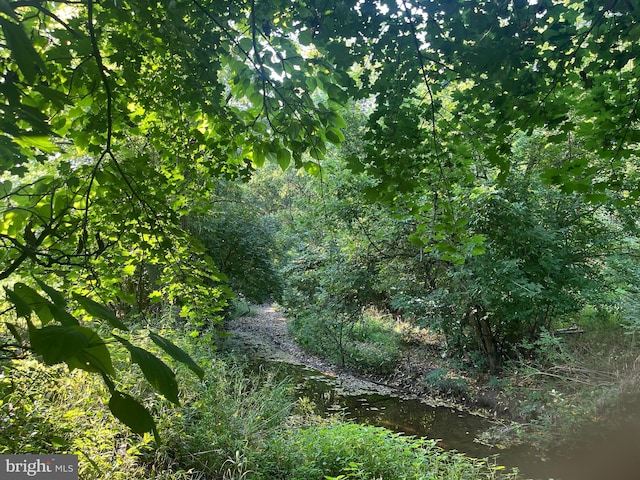 view of nature featuring a water view