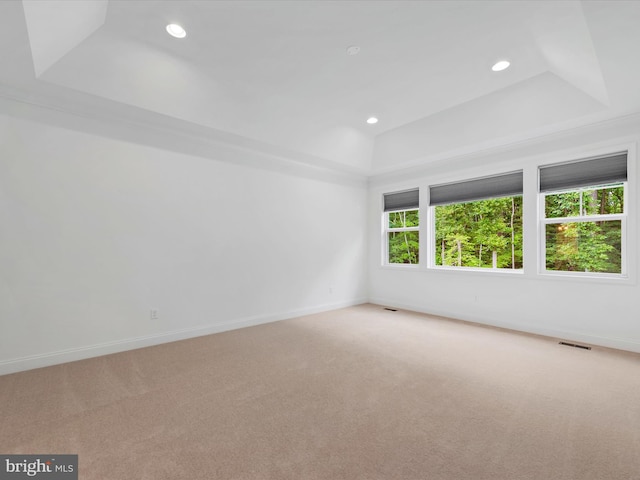 carpeted empty room with a raised ceiling