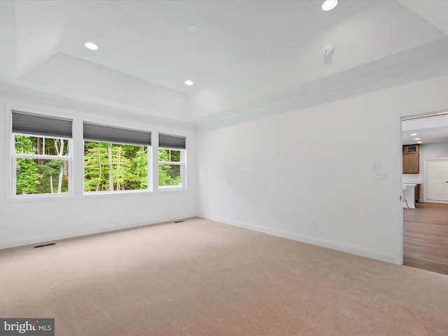 carpeted spare room featuring a raised ceiling